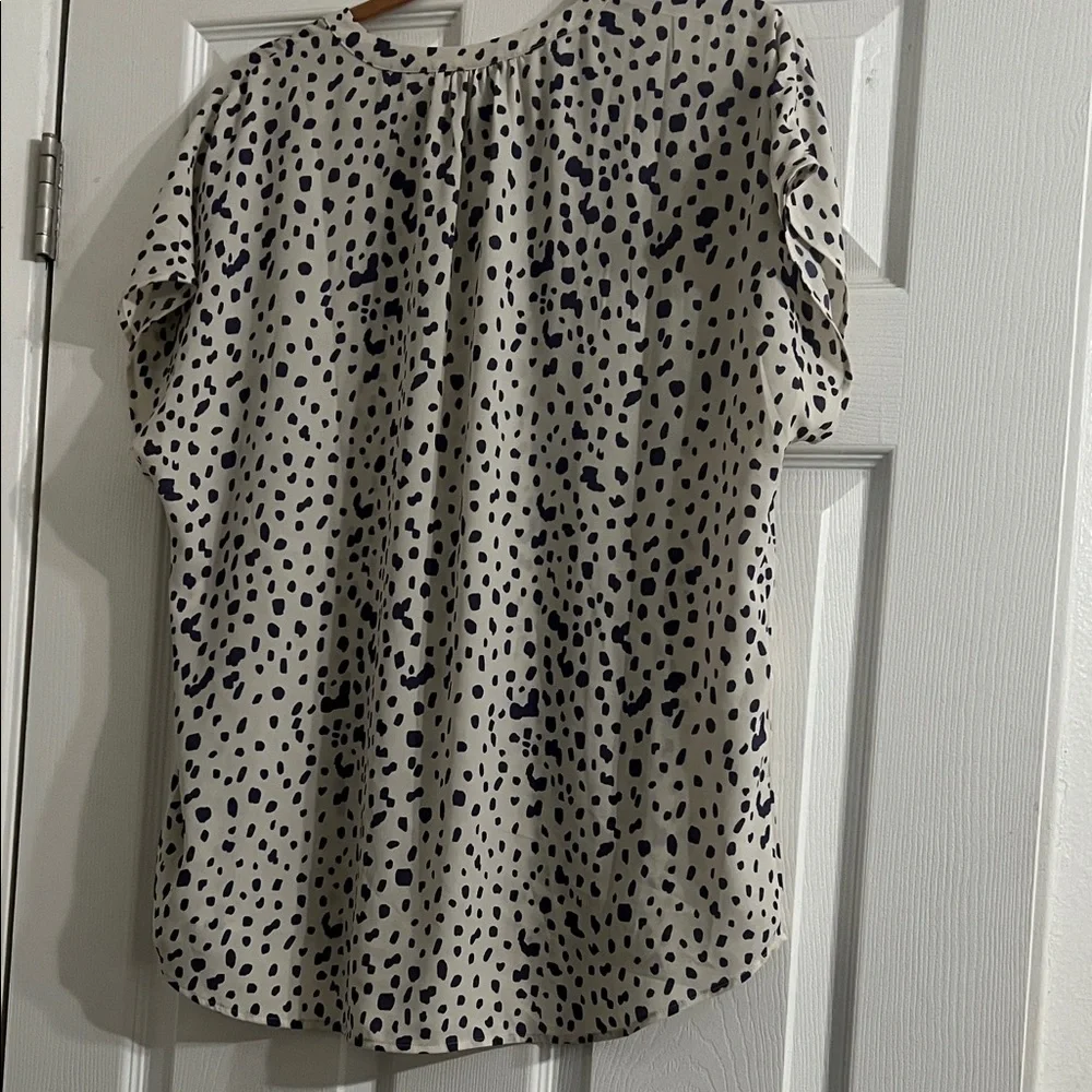 Cabi - Picture 2 of 4